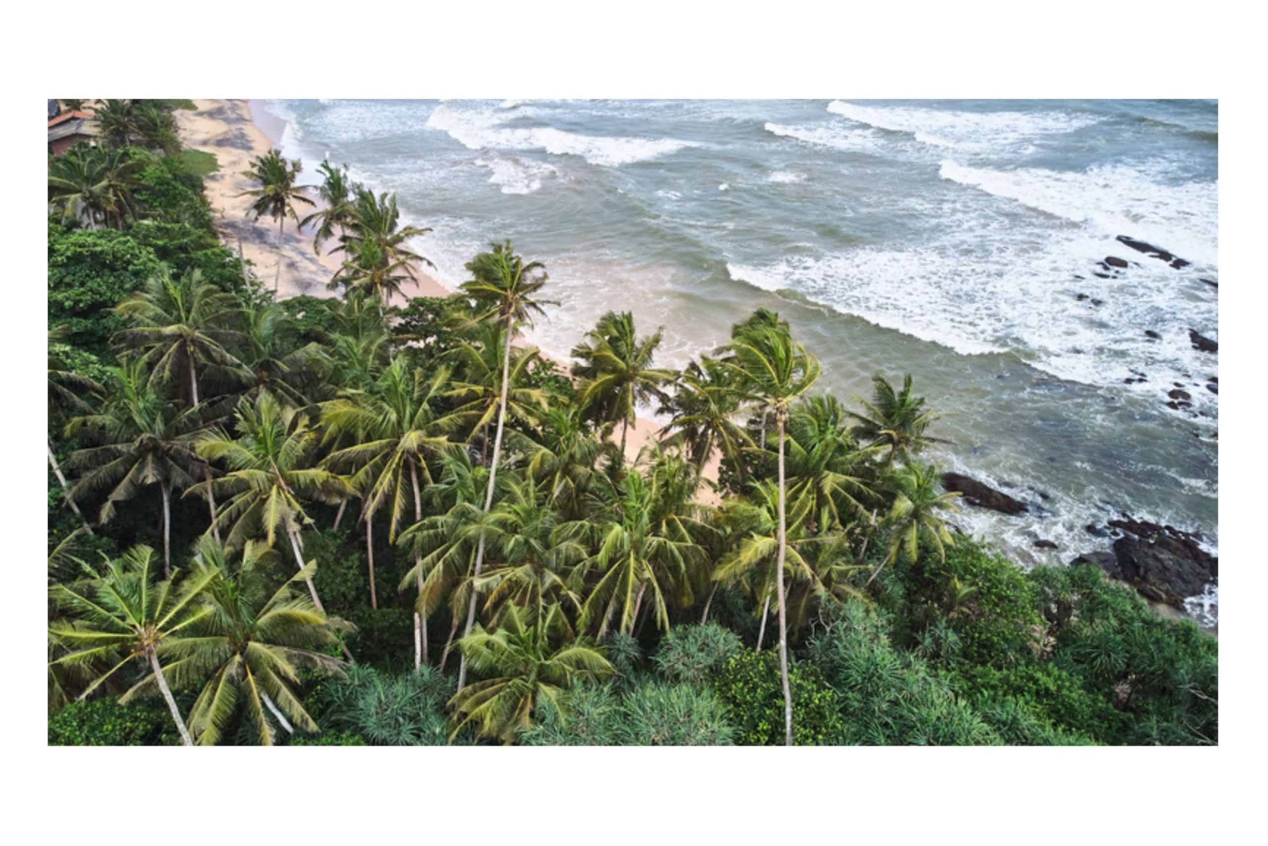 Drone view of tropical beach in Negombo Sri Lanka. Perfect day trips from Colombo