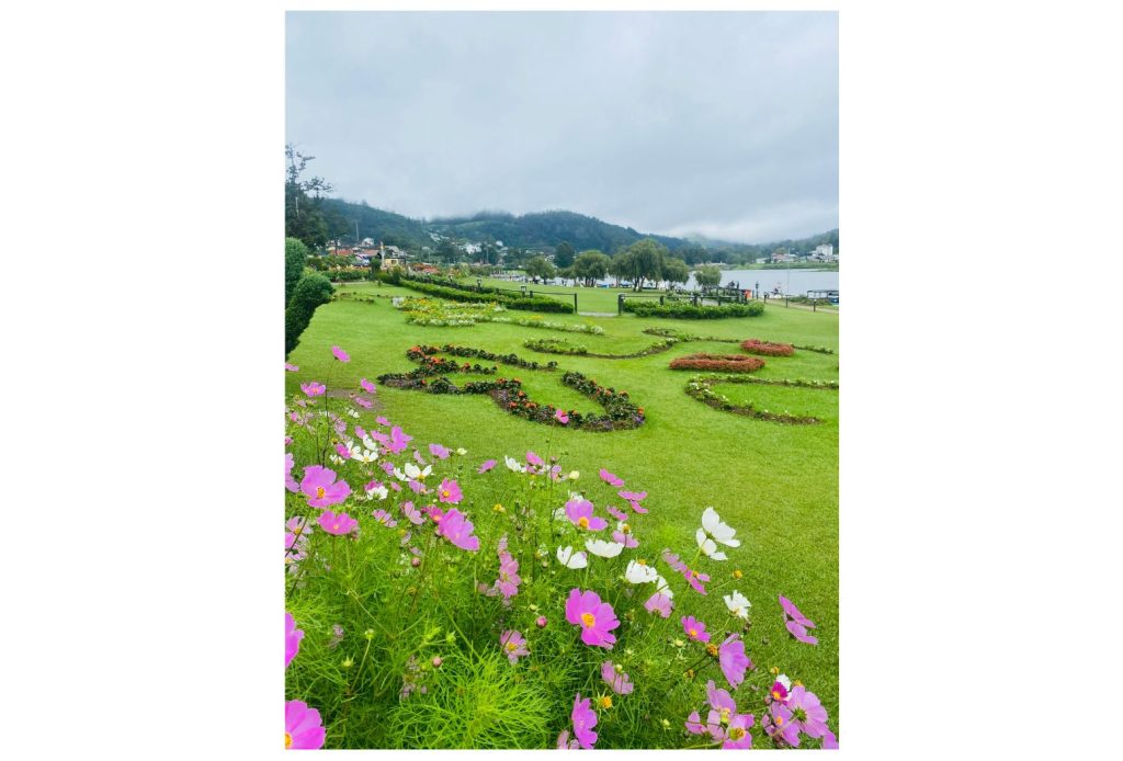Nurawa Eliya, Sri Lanka garden