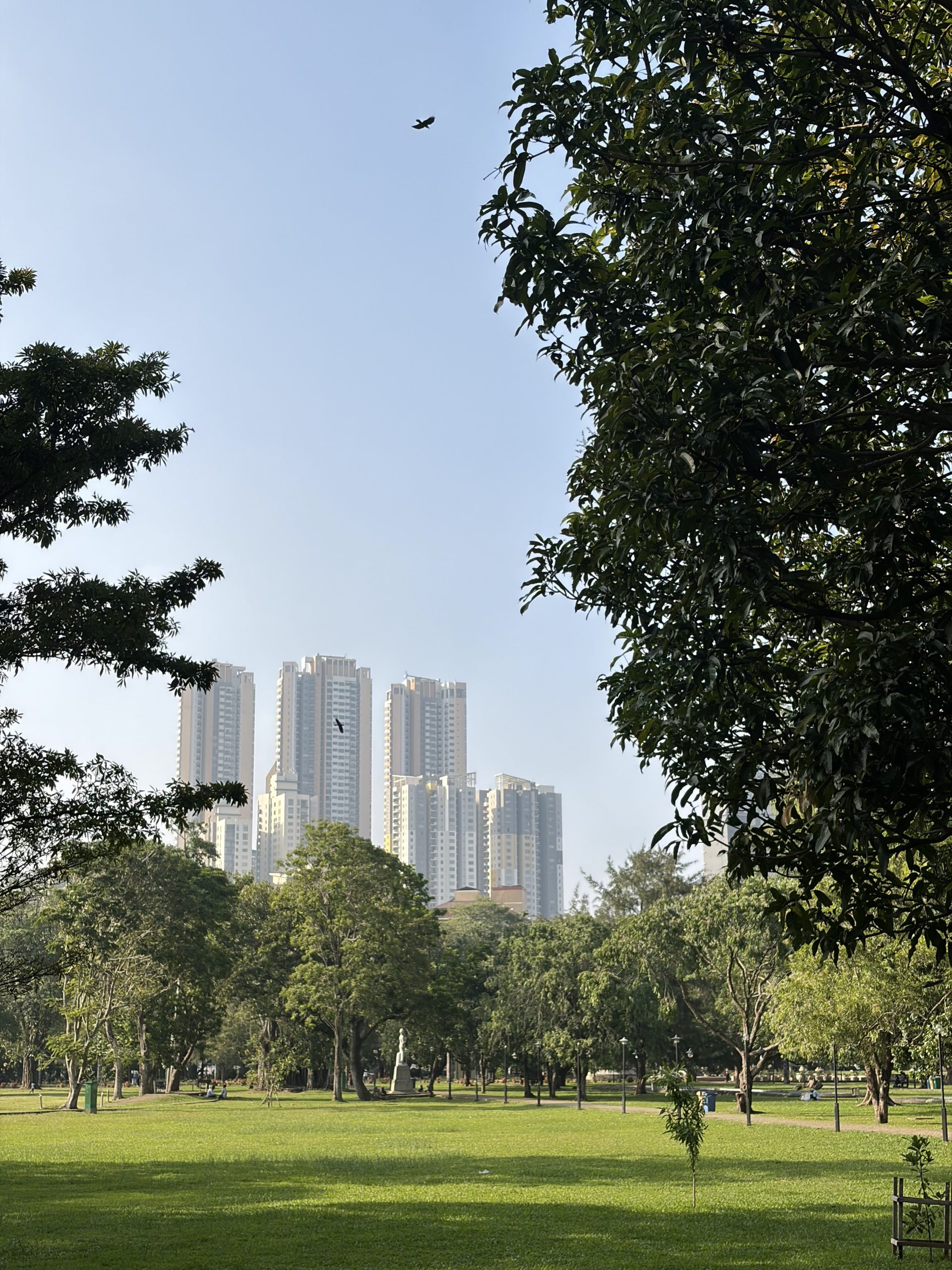 Green park space in colombo 7 area, Cinnamon gardens
