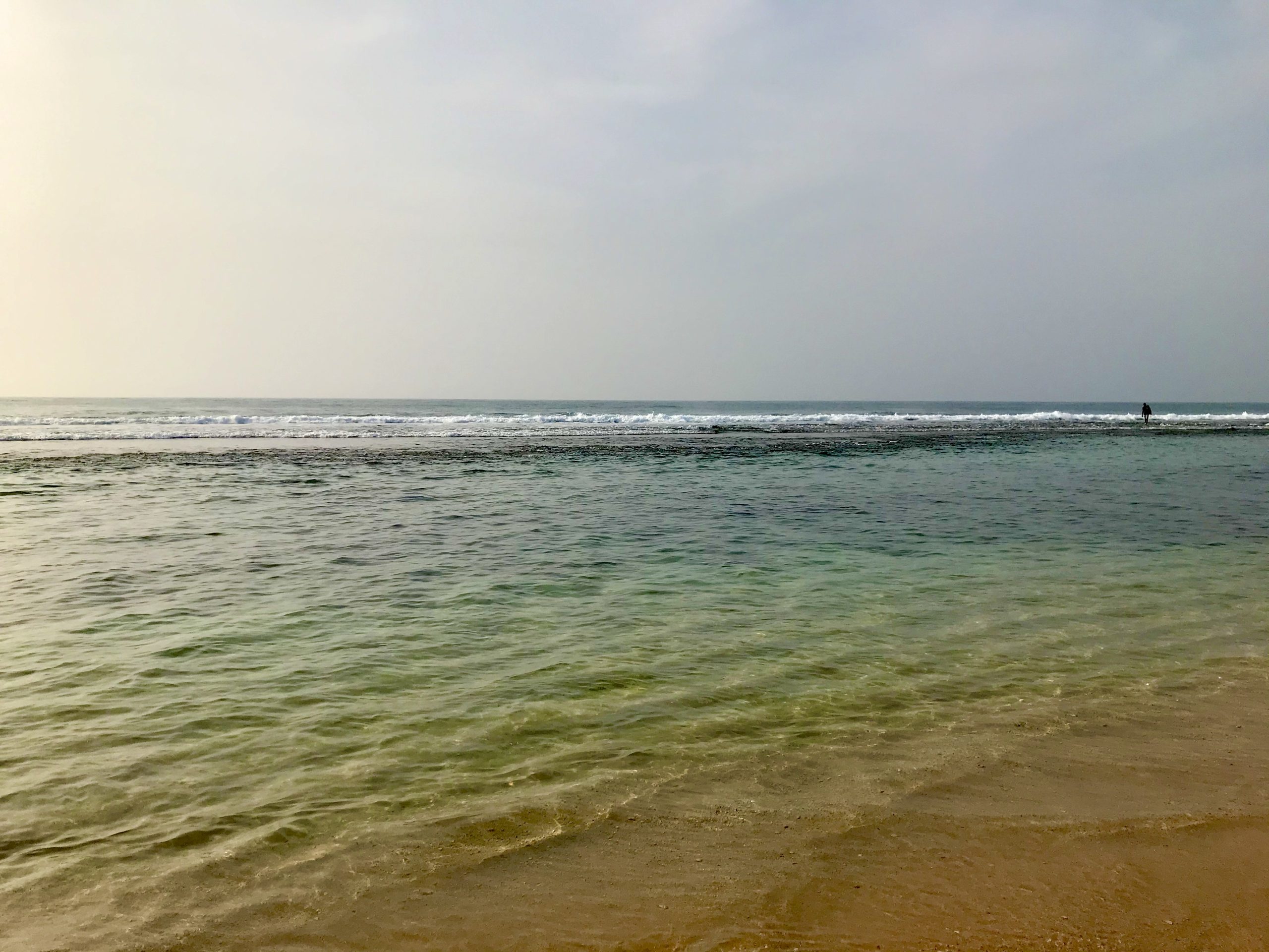 discover-the-best-of-mirissa-sri-lanka-ultimate-travel-guide