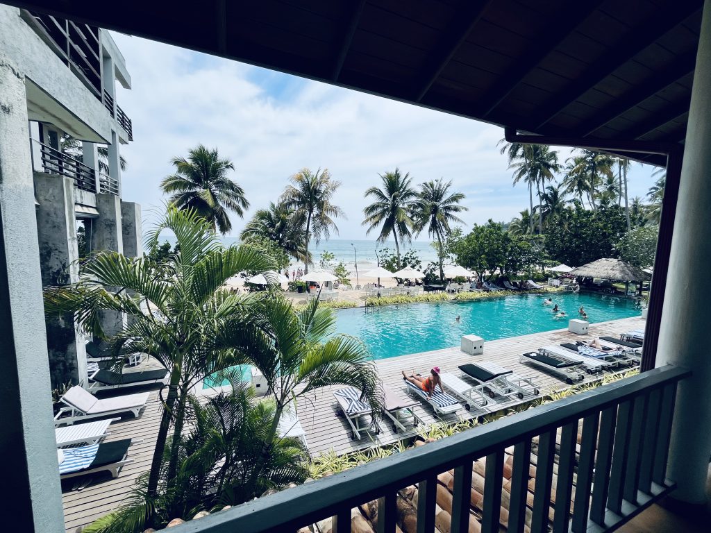 discover-the-best-of-mirissa-sri-lanka-ultimate-travel-guide