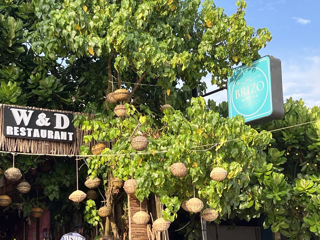 discover-the-best-of-mirissa-sri-lanka-ultimate-travel-guide