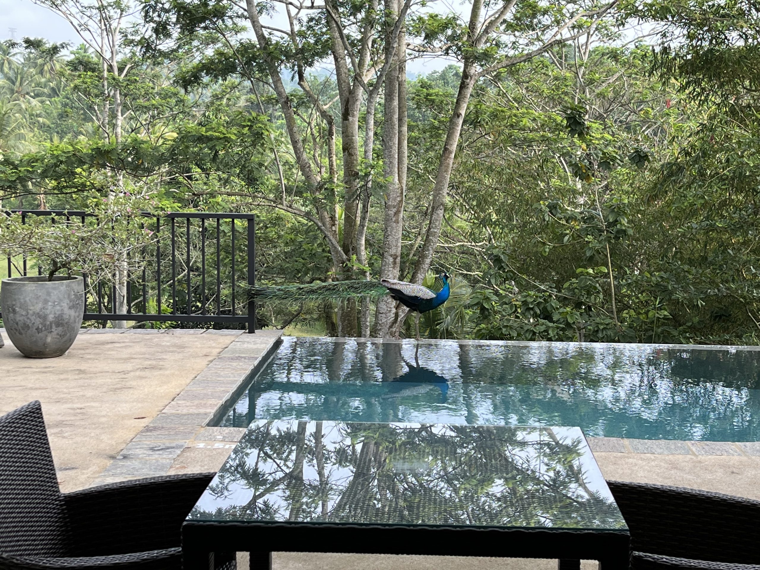 serenity-in-the-hills-experiencing-kahanda-kandas-exclusive-private-villas