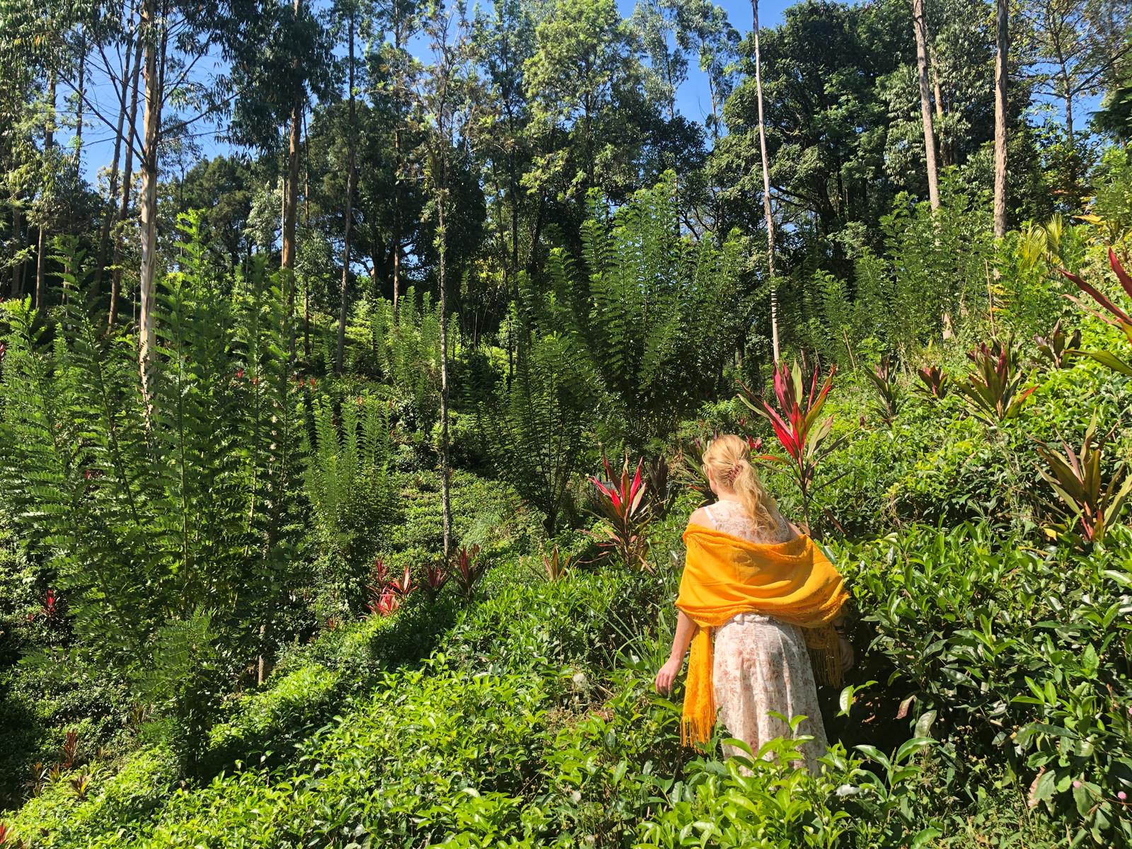 stunning-stays-in-kandy-unique-spots-with-breathtaking-scenery