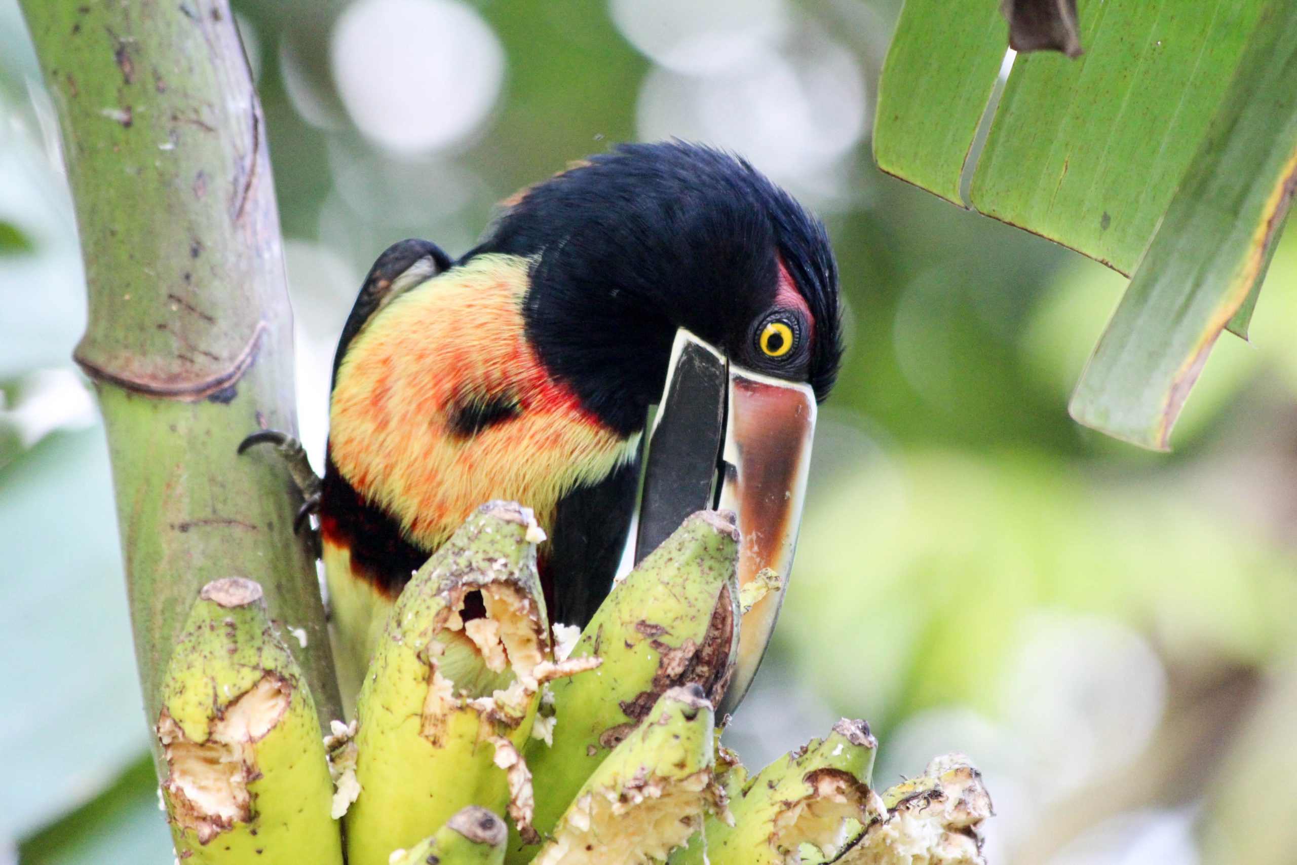 solo-travel-destinations-2025