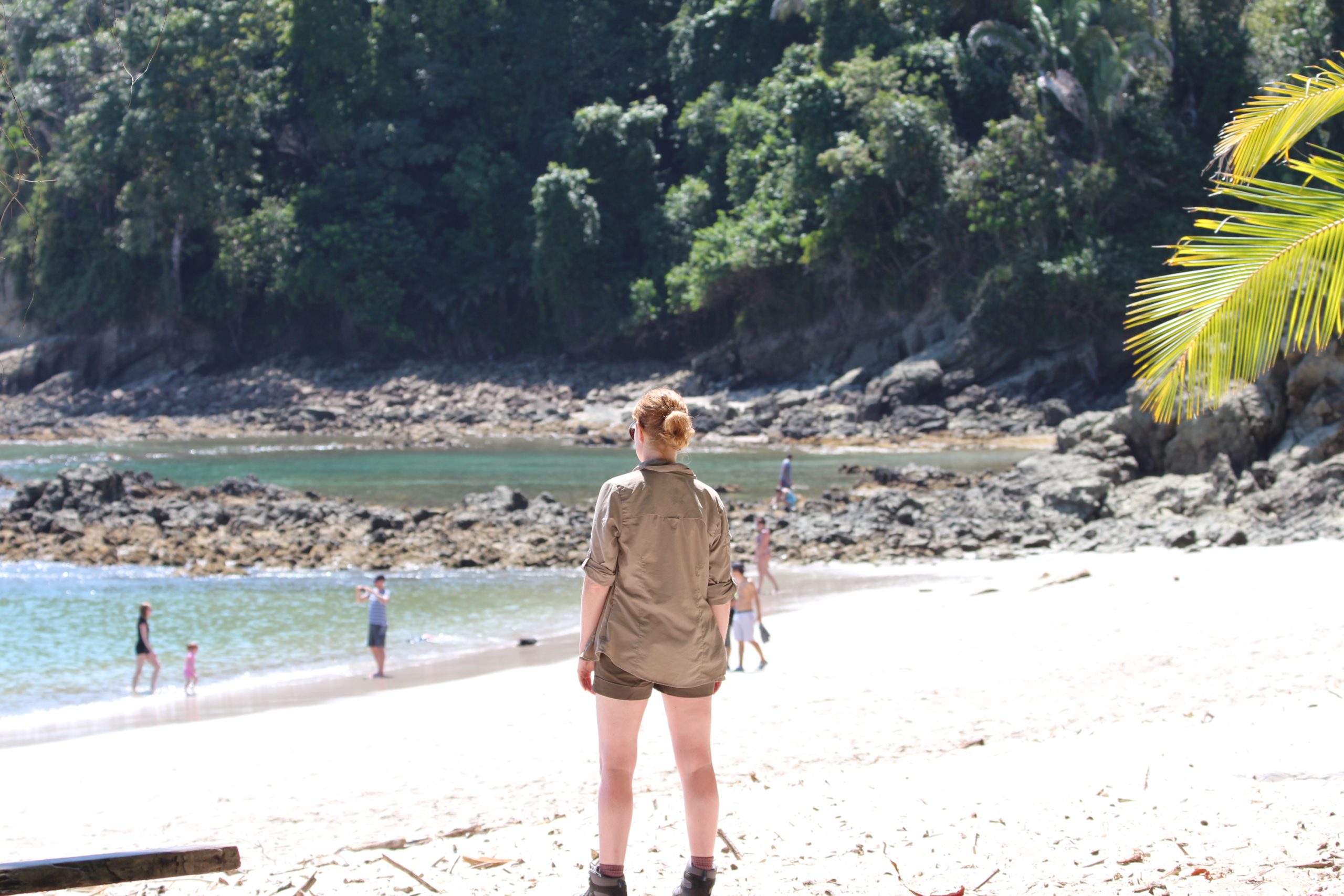 my-wildlife-adventure-in-manuel-antonio-how-to-see-sloths-monkeys-more