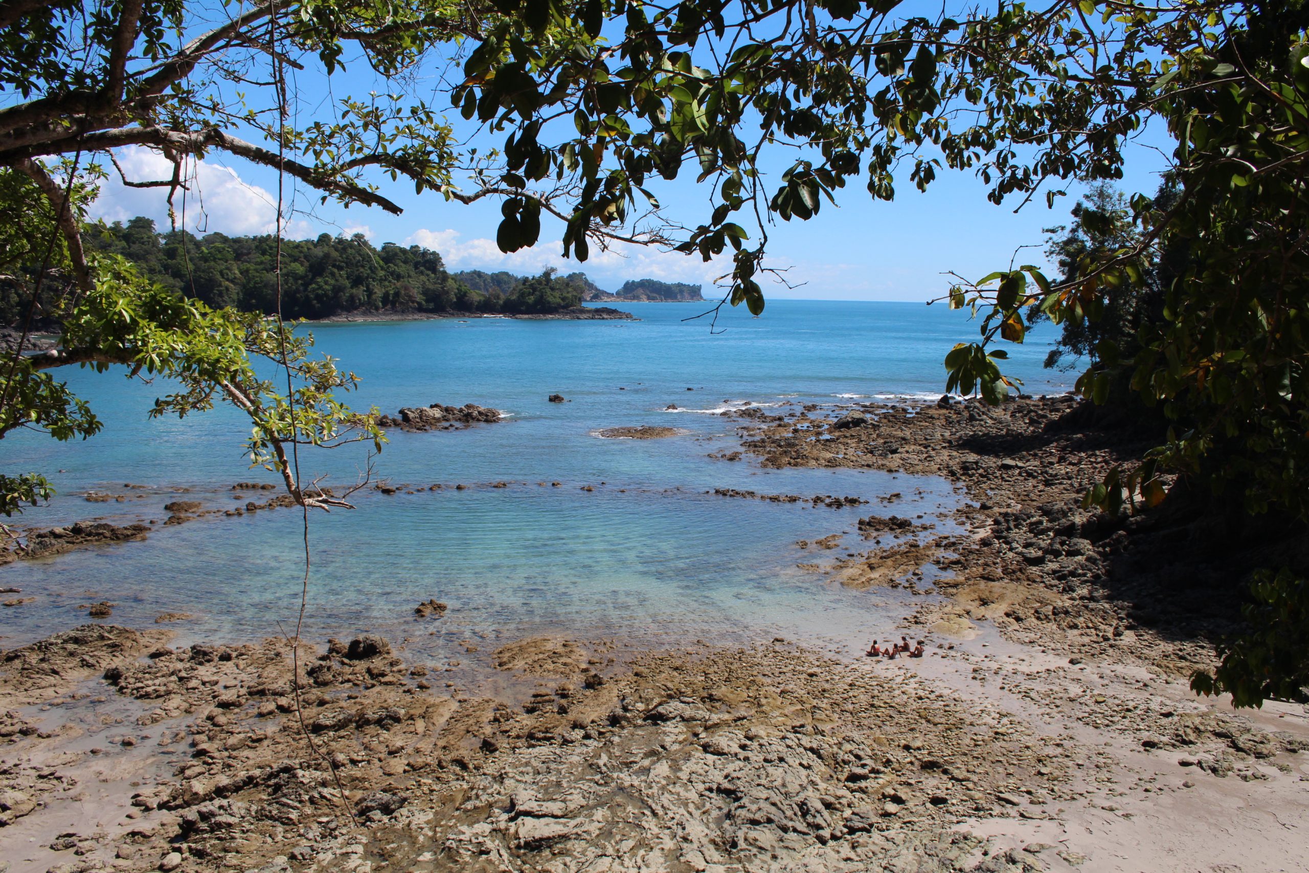 my-wildlife-adventure-in-manuel-antonio-how-to-see-sloths-monkeys-more