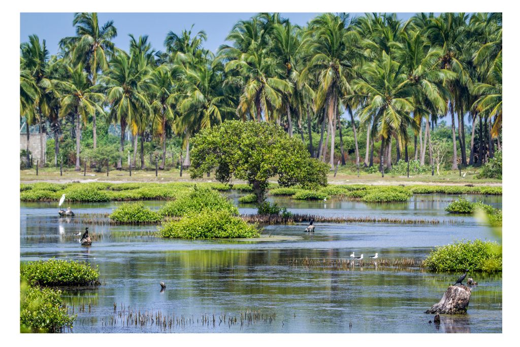 is-kalpitiya-worth-a-visit-sri-lanka-2025