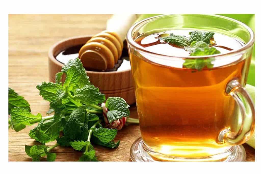 sri-lanka-wellness-retreats