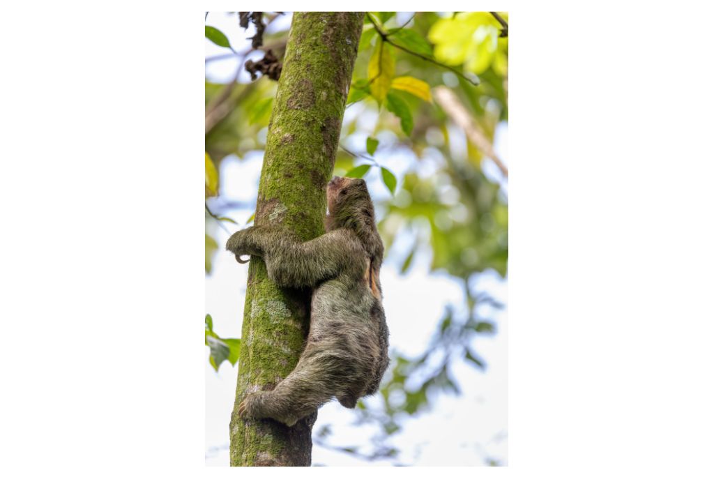 la-fortuna-costa-rica