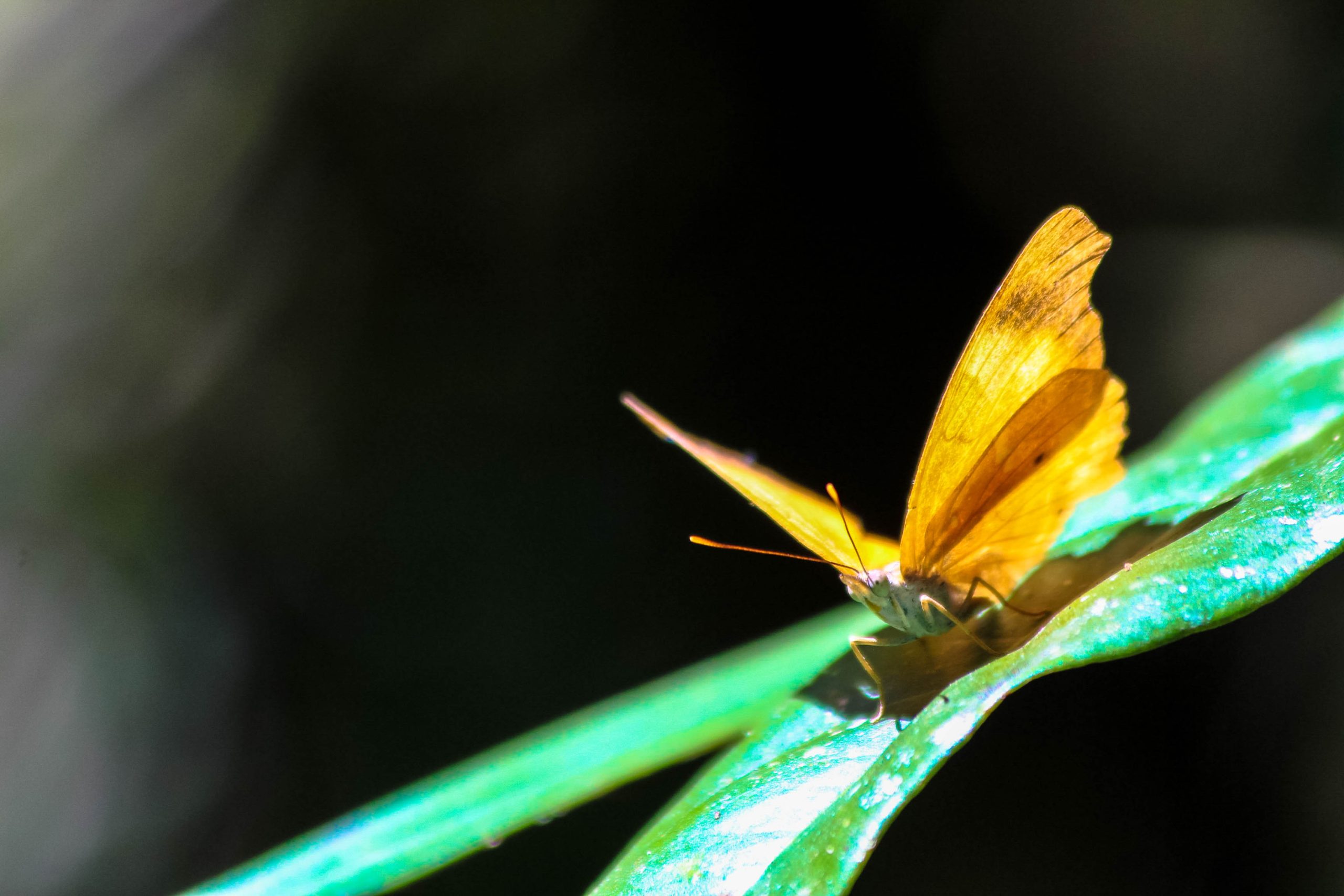 la-fortuna-costa-rica