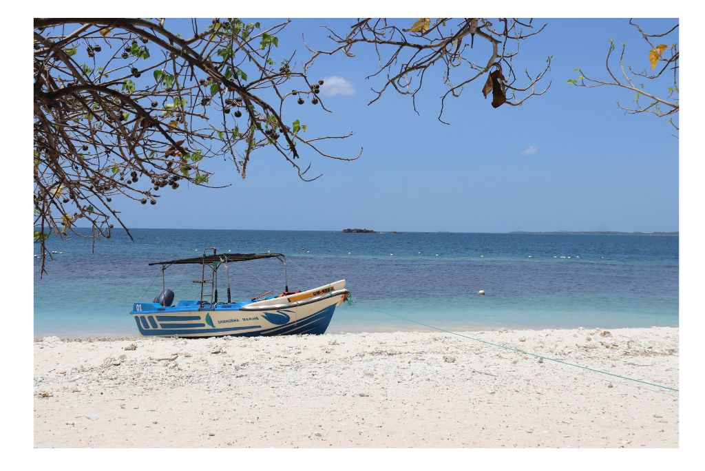 pigeon-island-trincomalee-guide