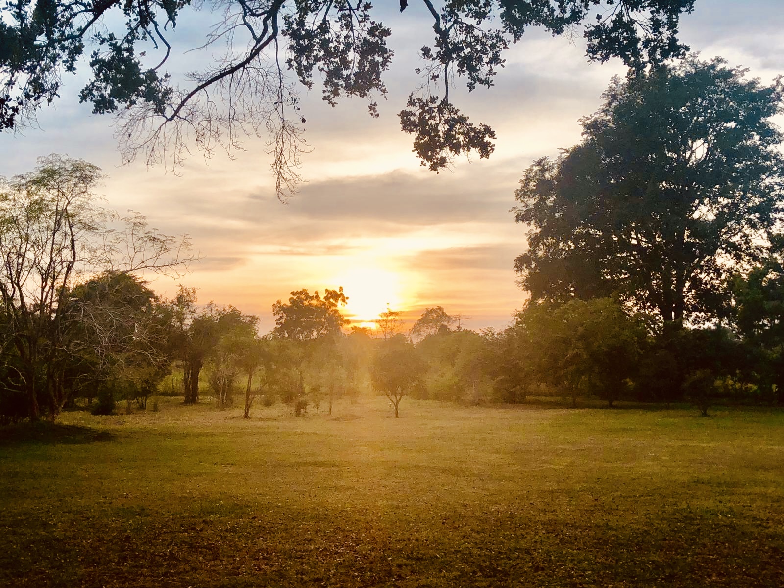sunset safari in wilpattu national park Sri lanka
