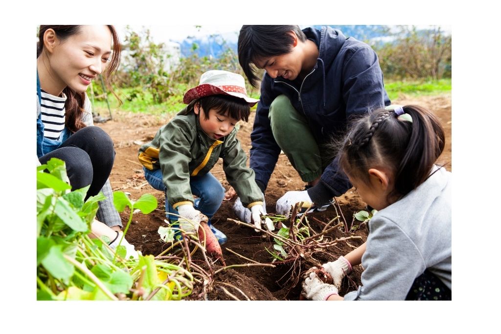 experience-based-travel-2025