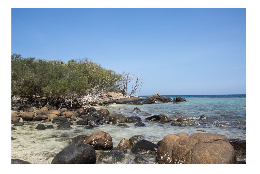 pigeon-island-trincomalee-guide