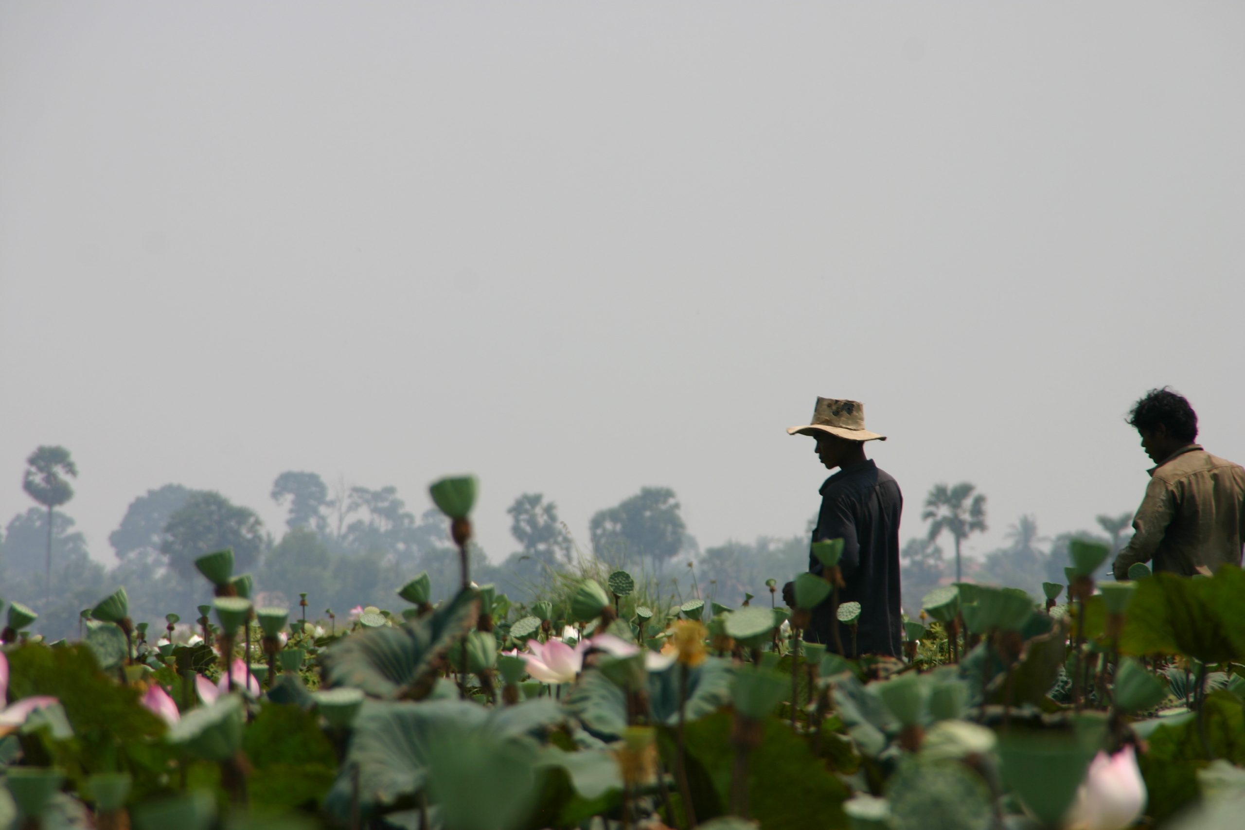 siem-reap-cambodia-worth-the-trip