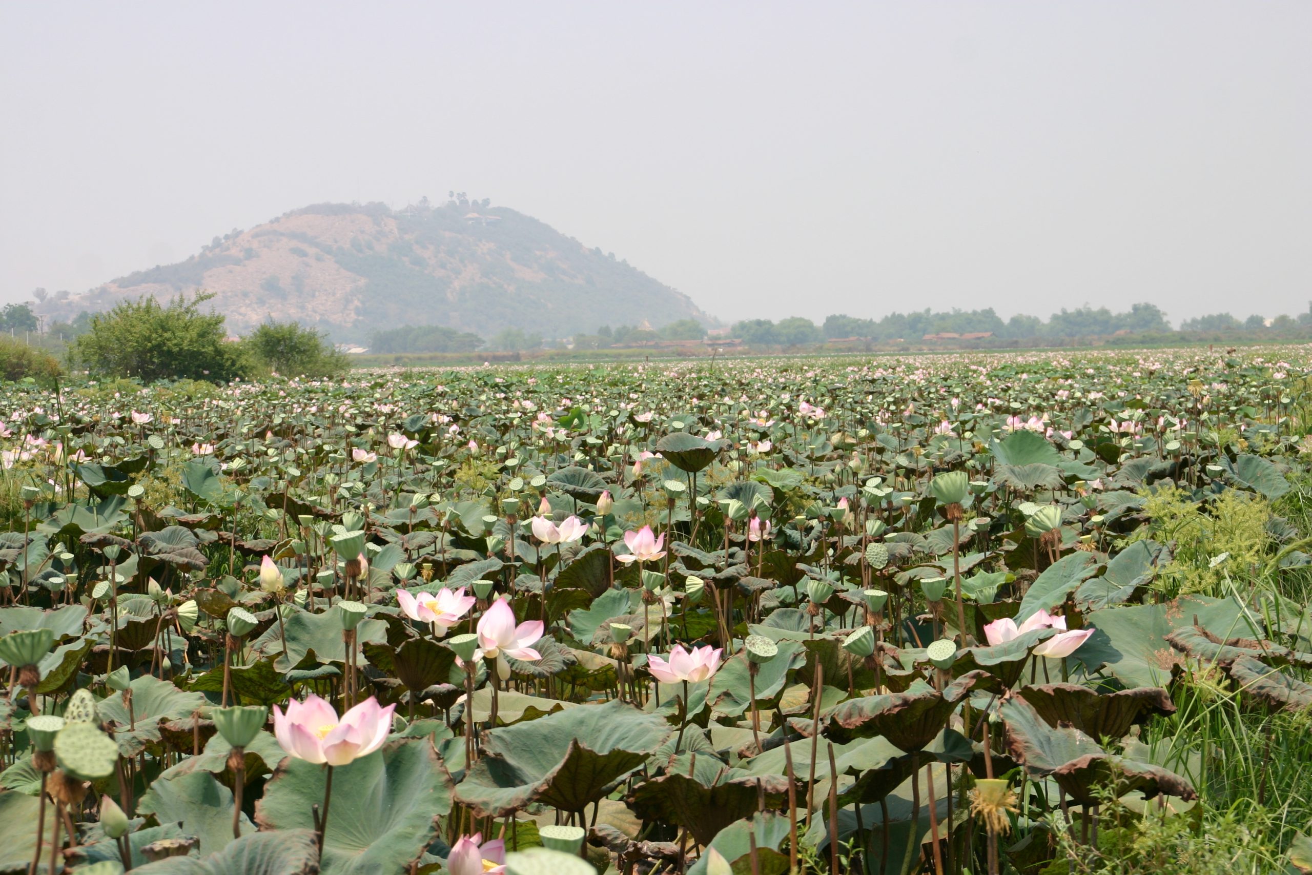 siem-reap-cambodia-worth-the-trip