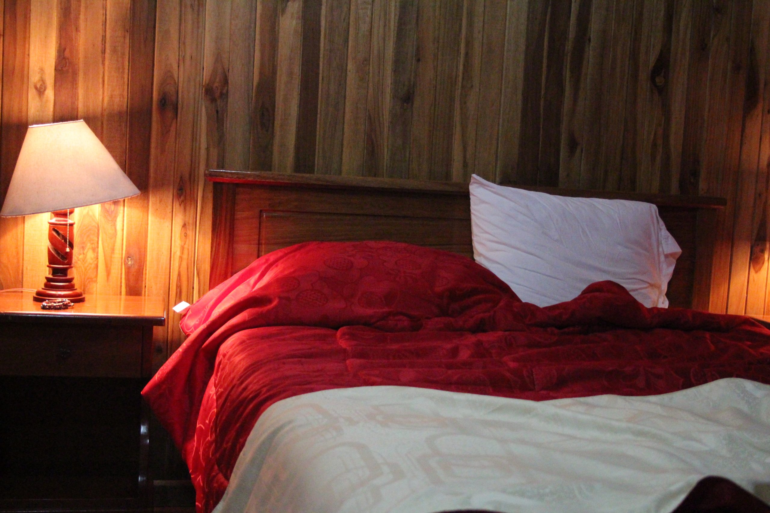 monteverde-cloud-forest-costa-rica-guide