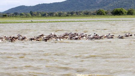 safari-wilpattu-national-park-sri-lanka