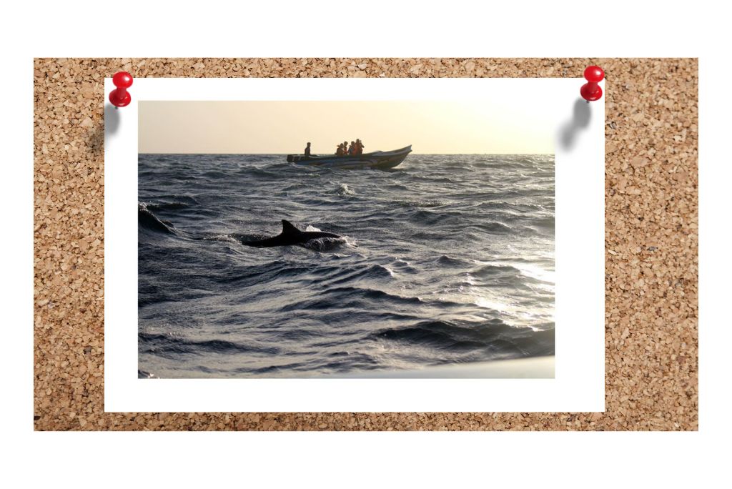 trincomalee-sri-lanka-12-best-things-to-do-ultimate-guide