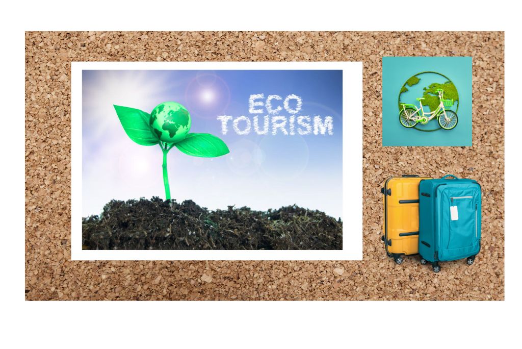 eco-lodges-in-sri-lanka