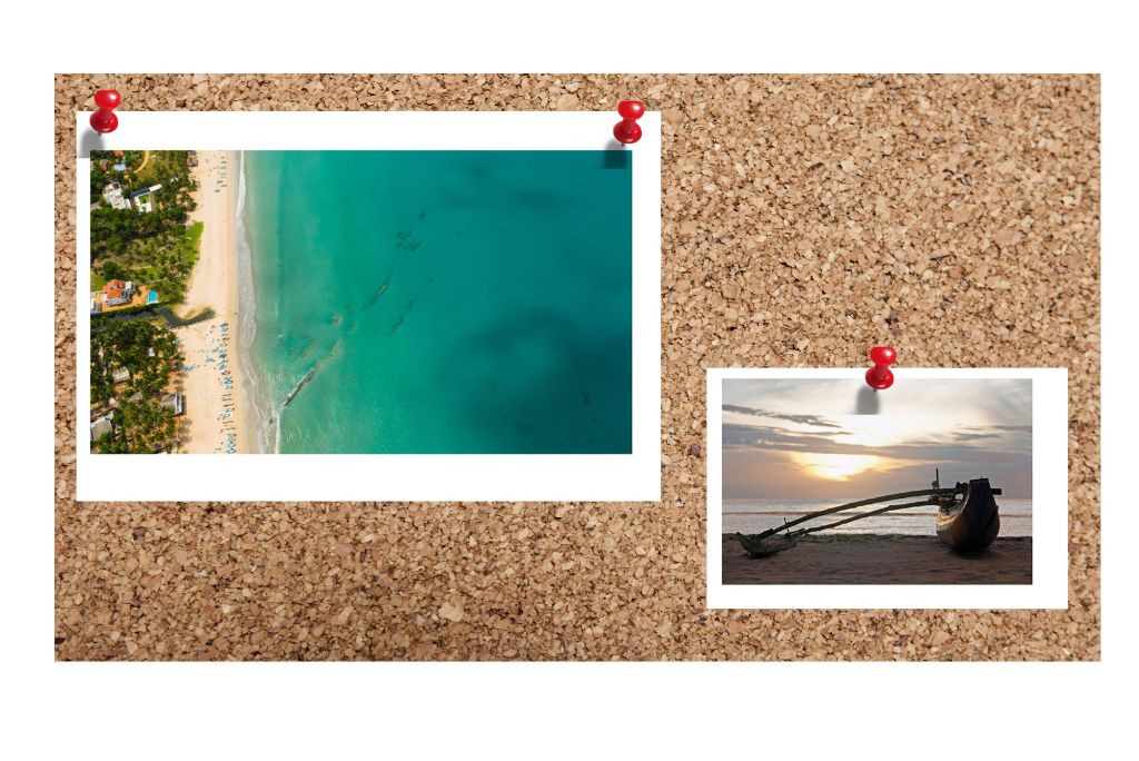 eco-lodges-in-sri-lanka