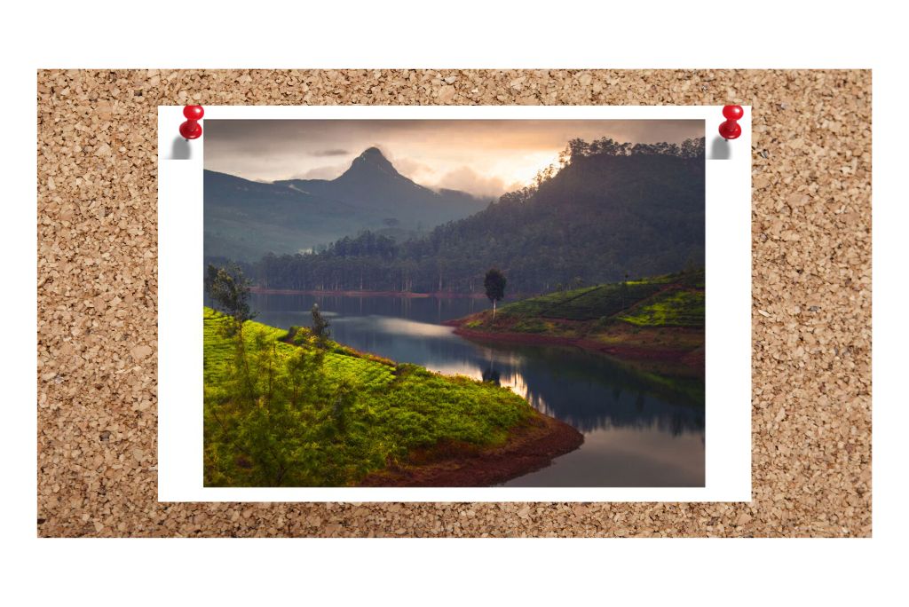 eco-lodges-in-sri-lanka