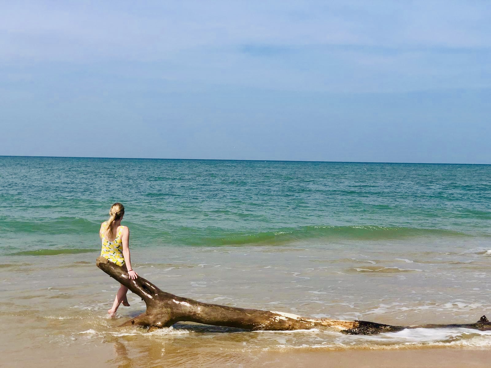 Lone female sitting on a large broken log on the beach in Kalpitiya, Sri lanka