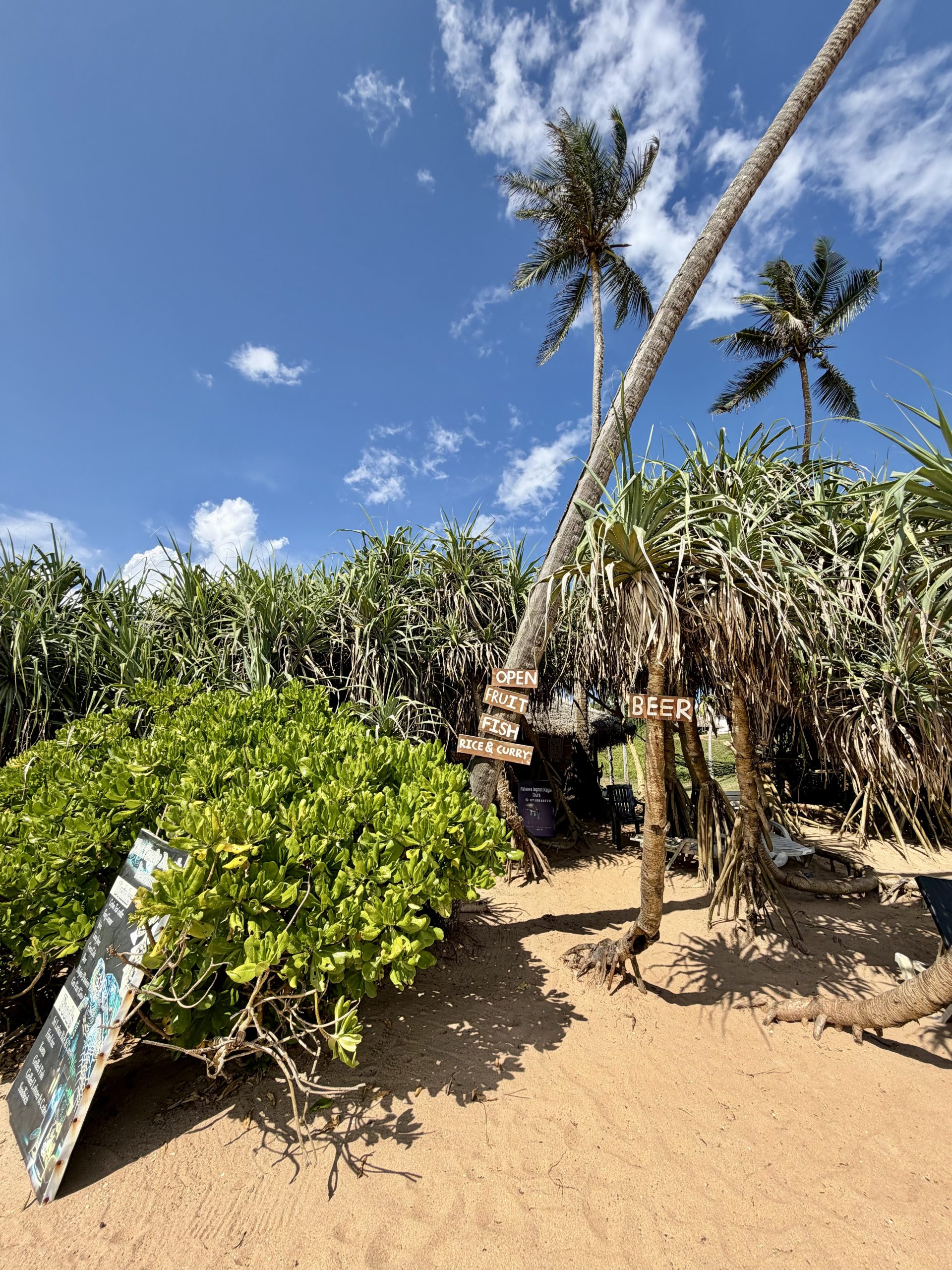 Beach shack hidden away on Rekawa beach, Sri lanka