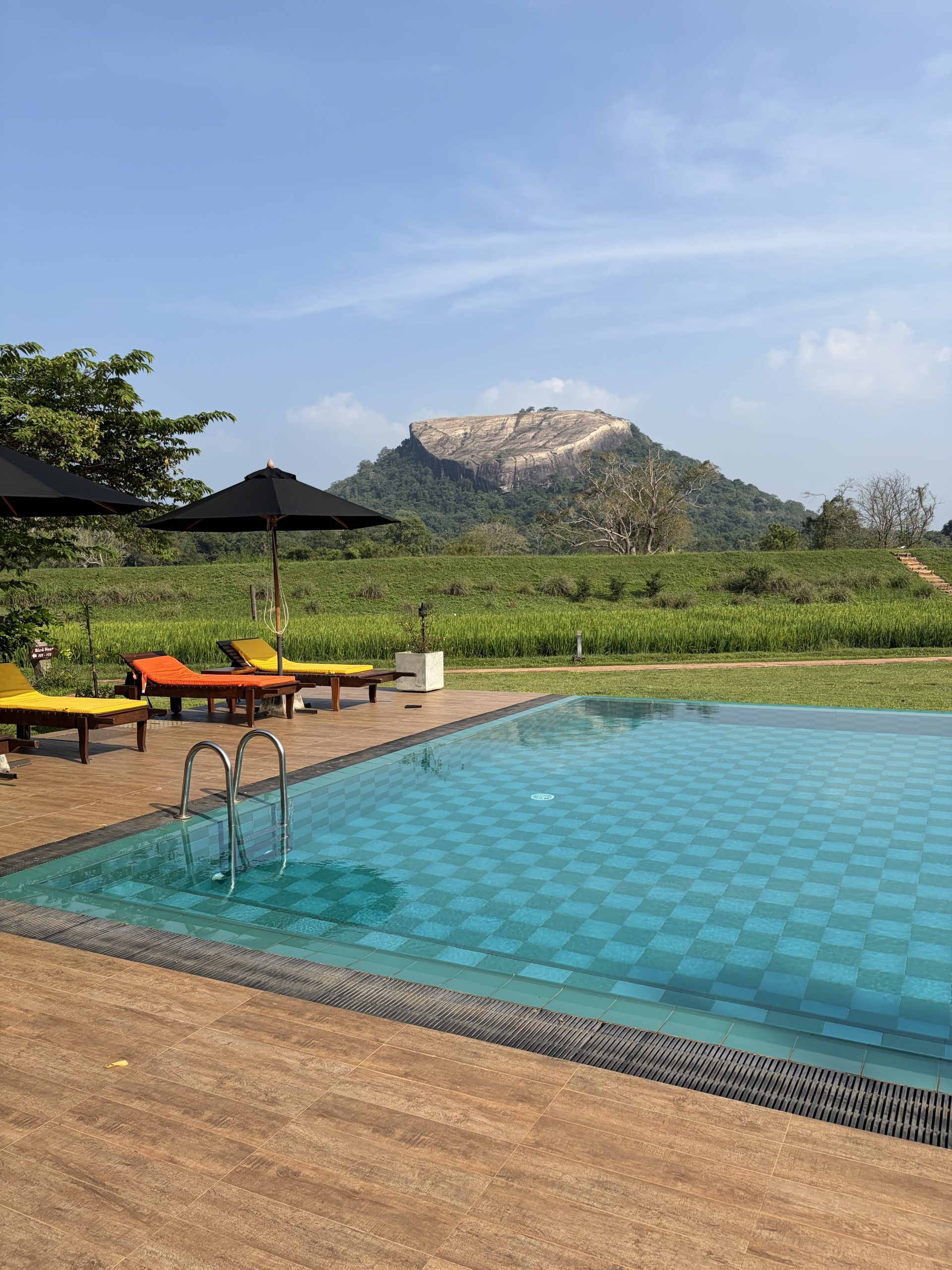 Pool view at Kings Resort Sigiriya, Sri Lanka