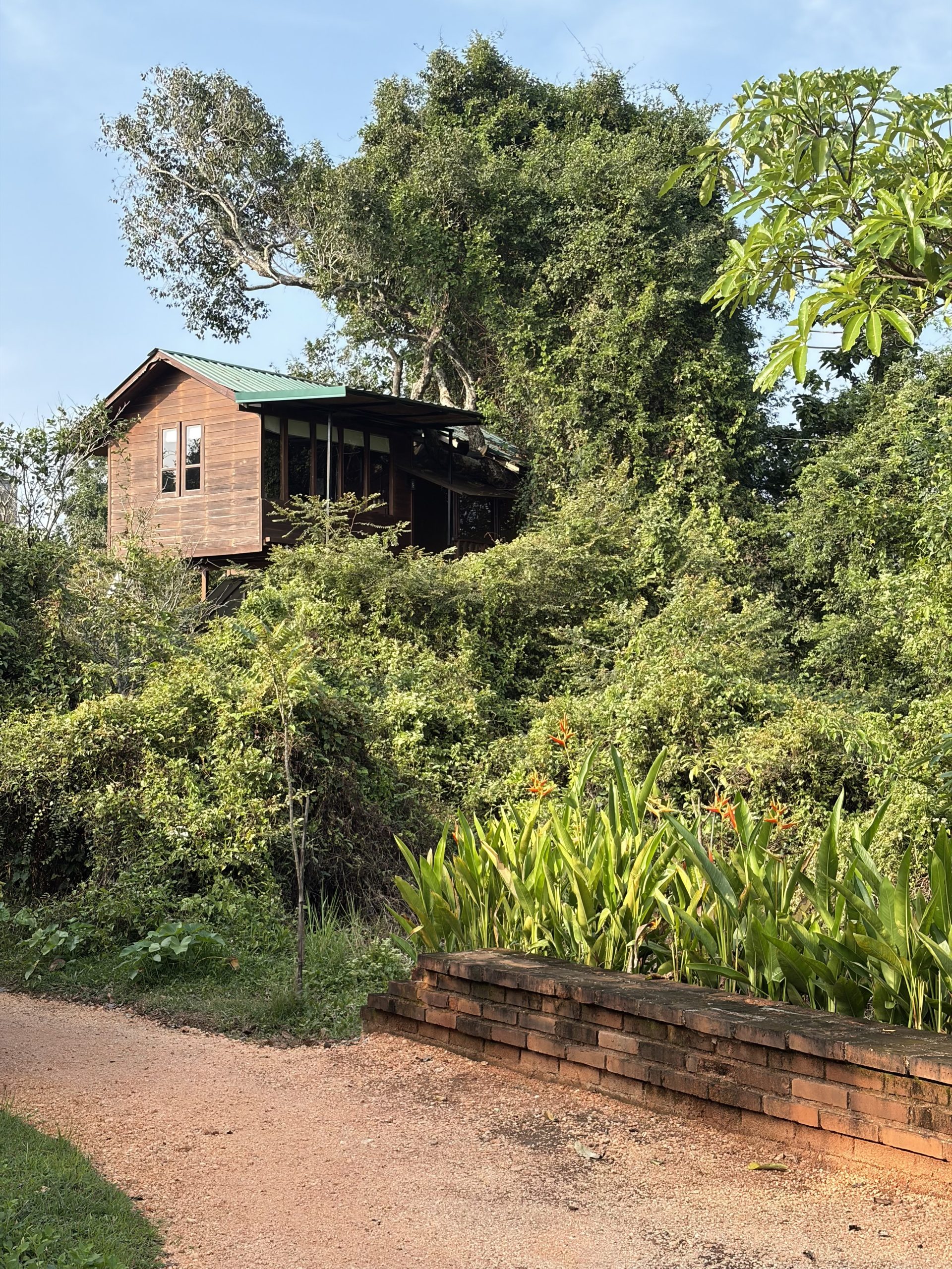Exterior view of Sigiriya Kings Resort treehouse 